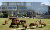 Turismo de Vigo
